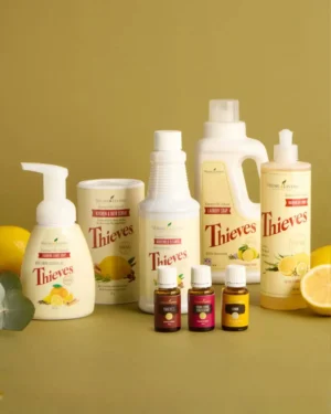 Healthy home bundel